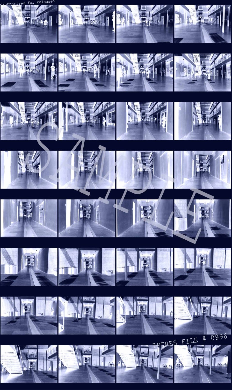 copenhagen protest grid blue.jpg